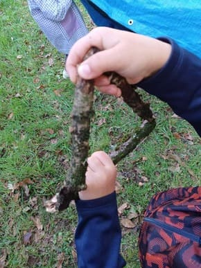 Actividades extraescolares en la naturaleza
