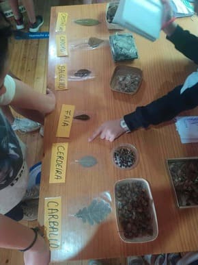 Extraescolares para colegios y ayuntamientos de Lugo y Galicia