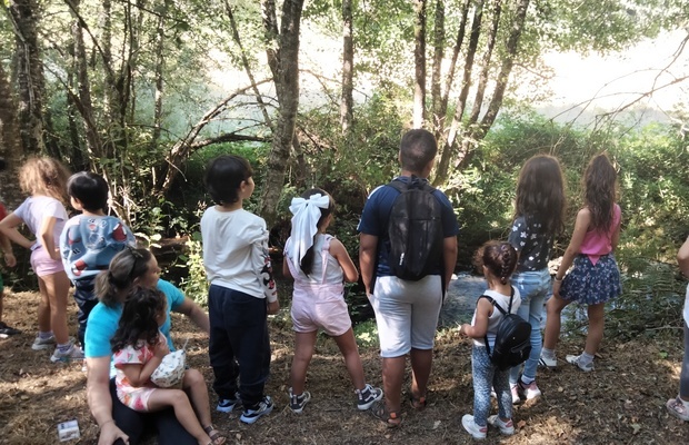 Organización de campamentos